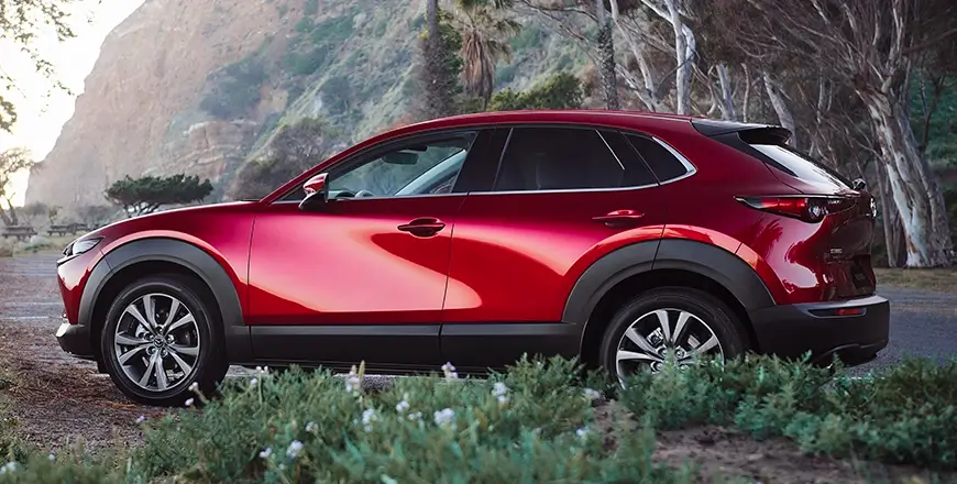 CX-30 característica